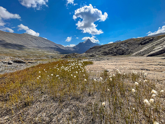 Hiking the north route from Wilcox Lake / Pass to Tangle Falls.