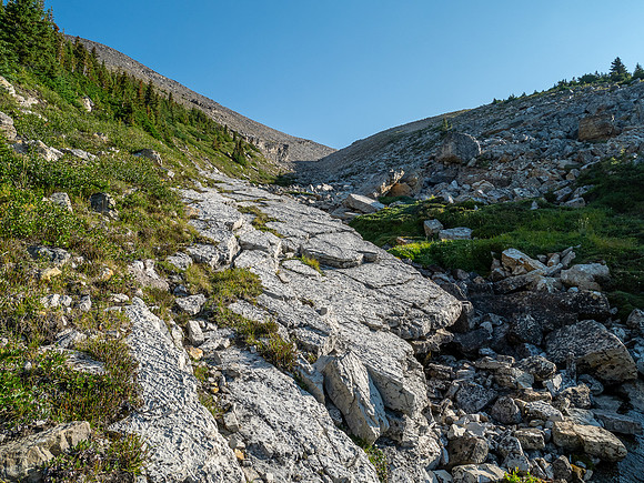 Hiking off trail to Tangle Pass.