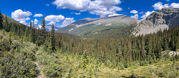 Hiking the north route from Wilcox Lake / Pass to Tangle Falls.