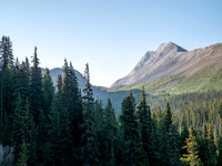 Hiking the north Wilcox Pass Trail from Tangle Falls.
