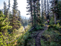 Hiking the north Wilcox Pass Trail from Tangle Falls.