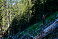 The avalanche gullies are surprisingly clear of debris.