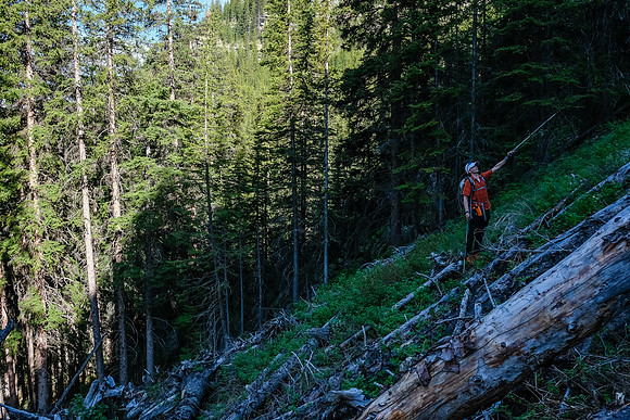 The avalanche gullies are surprisingly clear of debris.