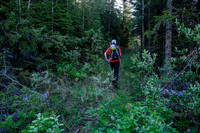 Phil hikes the old logging road.