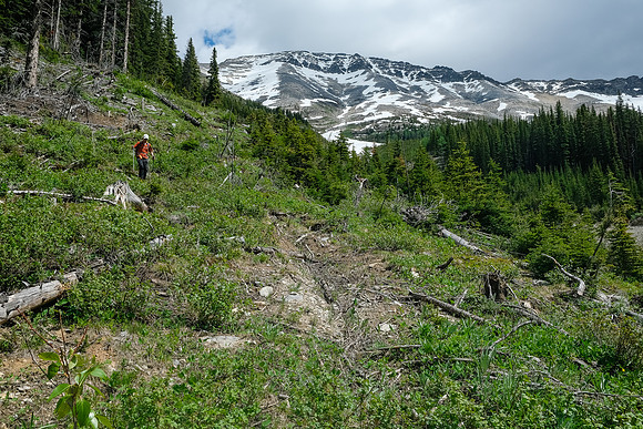Traversing avalanche slopes back to find the trail in the forest.