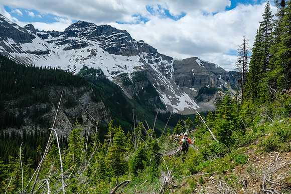 Traversing avalanche slopes back to find the trail in the forest.