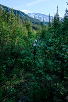 Phil hikes the old logging road.