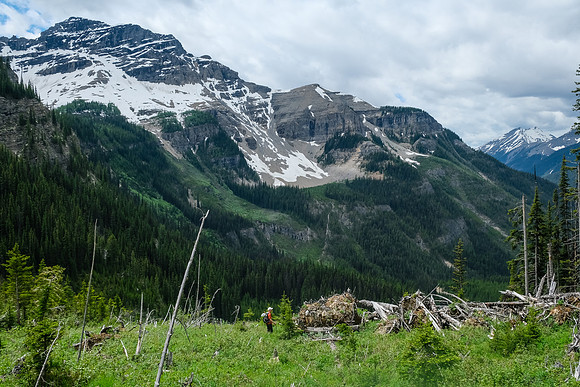 Traversing avalanche slopes back to find the trail in the forest.