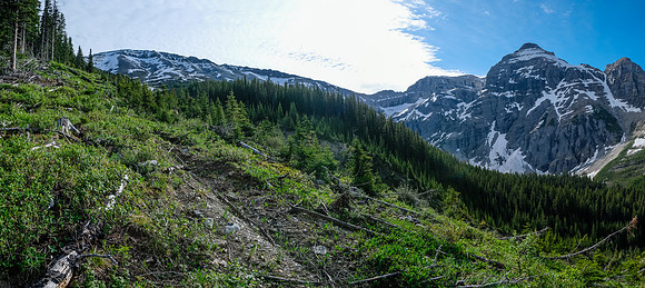 Looking up the avalanche gullies to the summit.