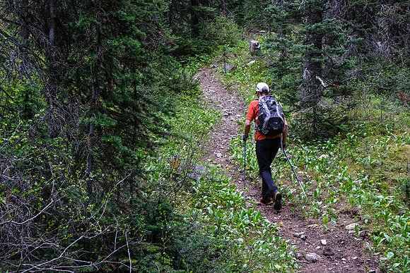 The trail steepens and improves the higher you go.