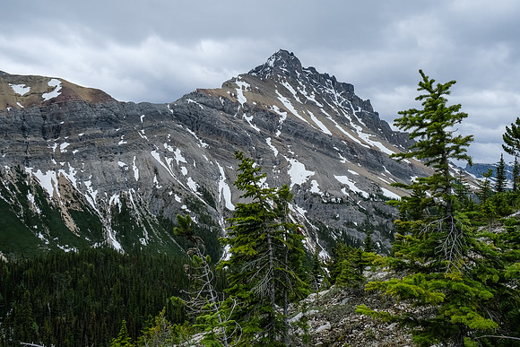 Views back to White Man Mountain.