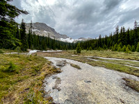 A last look back at the meadows.