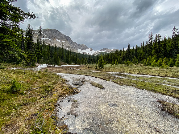 A last look back at the meadows.