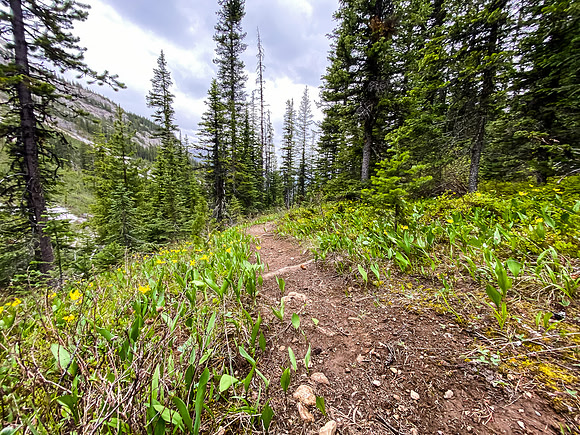 Descending the White Man Pass trail.
