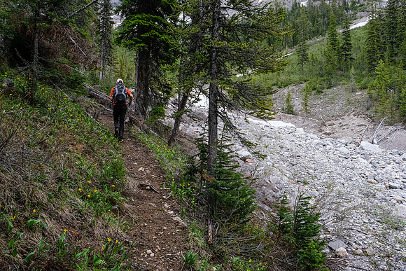 The trail steepens and improves the higher you go.