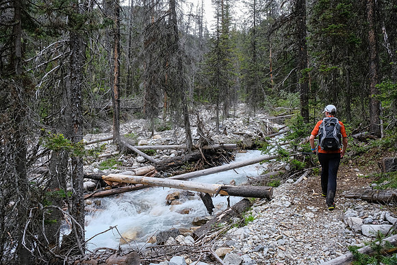 Hiking up beside the Cross River.