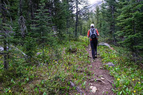 The trail steepens and improves the higher you go.