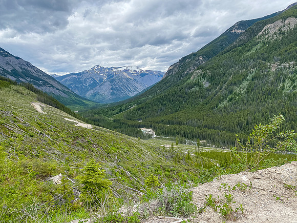 Driving the Miller Pass Road back to the Cross River Road.