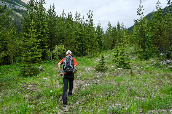 Phil starts up the trail to White Man Pass.