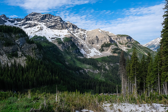 Views back down valley.