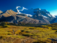 Mount Wilcox (Click to Load Album)