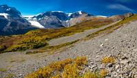 Back down near the Wilcox Meadows trail, Wilcox rising at far right.