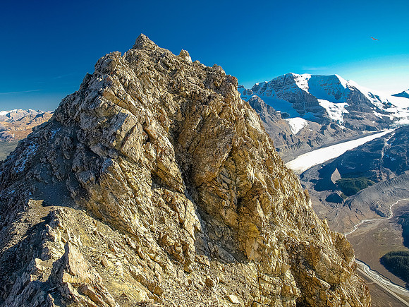 Looking at a moderate scrambling section of the upper ridge on Wilcox as I descend.