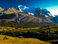 Last views of Athabasca as we drop down the meadow with the shadows growing long but the sun still very warm and pleasant.