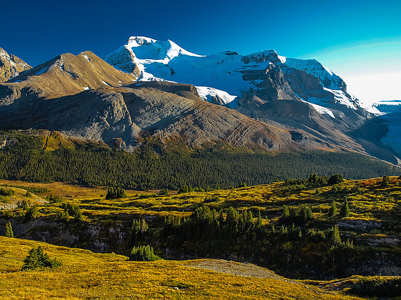 Last views of Athabasca as we drop down the meadow with the shadows growing long but the sun still very warm and pleasant.