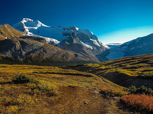 Wilcox Meadows views.
