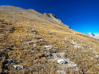 There are many viable paths up the lower part of the SE ridge on Wilcox. Sunwapta just peeking out on the far right.