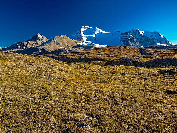 Wilcox Meadows views.