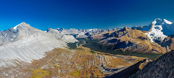 Incredible views over Wilcox Meadows with Nigel Peak on the left and Hilda, Boundary and Athabasca on the right.