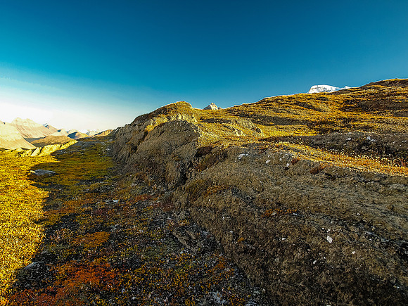 Great late afternoon views along our exit via the Wilcox Meadows.