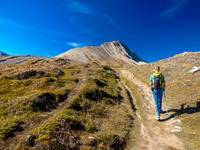 This is a very popular area, look at the massively worn trail! If you can, hike this area in September during the week. Mount Wilcox ahead at center.