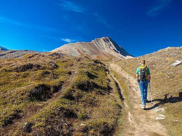 This is a very popular area, look at the massively worn trail! If you can, hike this area in September during the week. Mount Wilcox ahead at center.