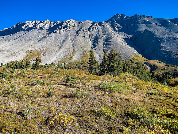 First full view of our ascent slopes and peak above Wilcox Meadow.