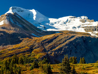 Mount Athabasca.