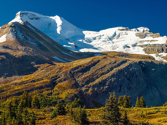 Mount Athabasca.