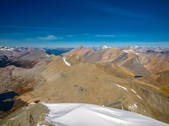 Looking north over Wilcox Lake.