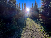 Biking up a series of logging roads along the lower SW flanks of Battleship.