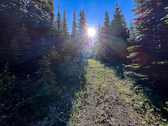 Biking up a series of logging roads along the lower SW flanks of Battleship.