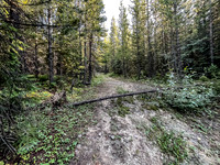 Biking up a series of logging roads along the lower SW flanks of Battleship.