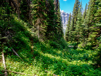 A faint trail in the forest at left.