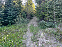 Biking up a series of logging roads along the lower SW flanks of Battleship.