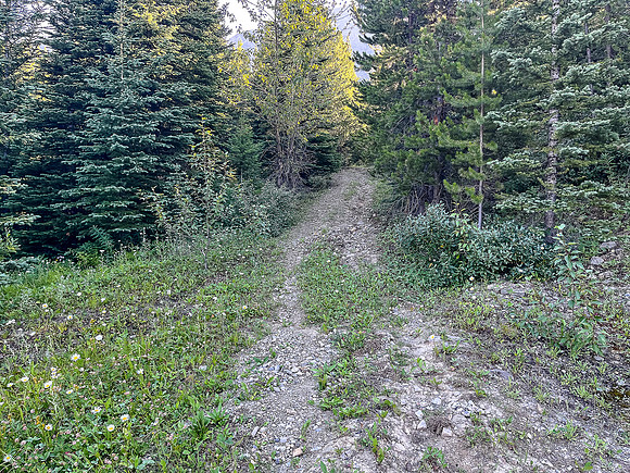 Biking up a series of logging roads along the lower SW flanks of Battleship.