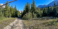 Starting up a series of logging roads along the lower SW flanks of Battleship.
