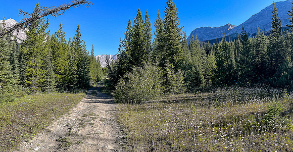 Starting up a series of logging roads along the lower SW flanks of Battleship.