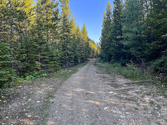 Riding the Dutch Creek road after the washout.