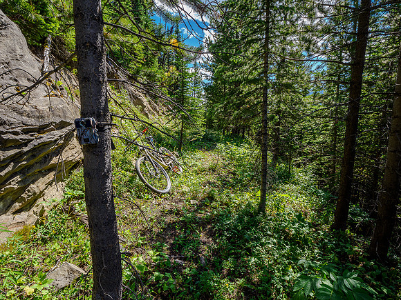 A trail cam right after I stopped biking! No idea why or whose?
